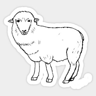 Sheep Sketch Sticker